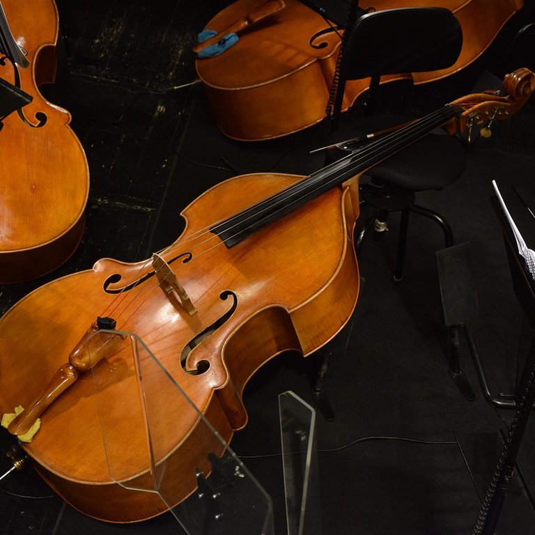 Orchester und Ensembles