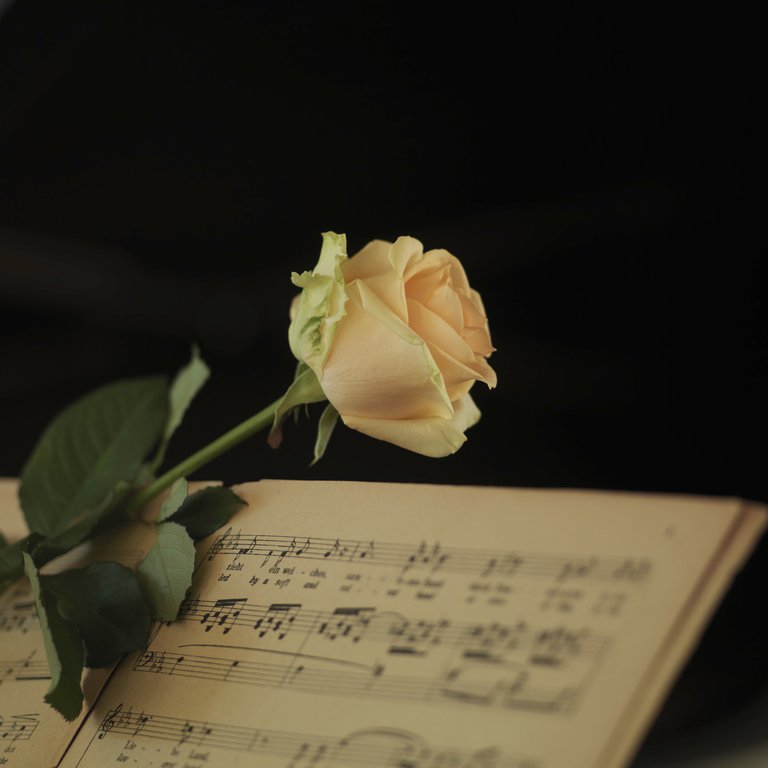 Liedkurs für fortgeschrittene Laien