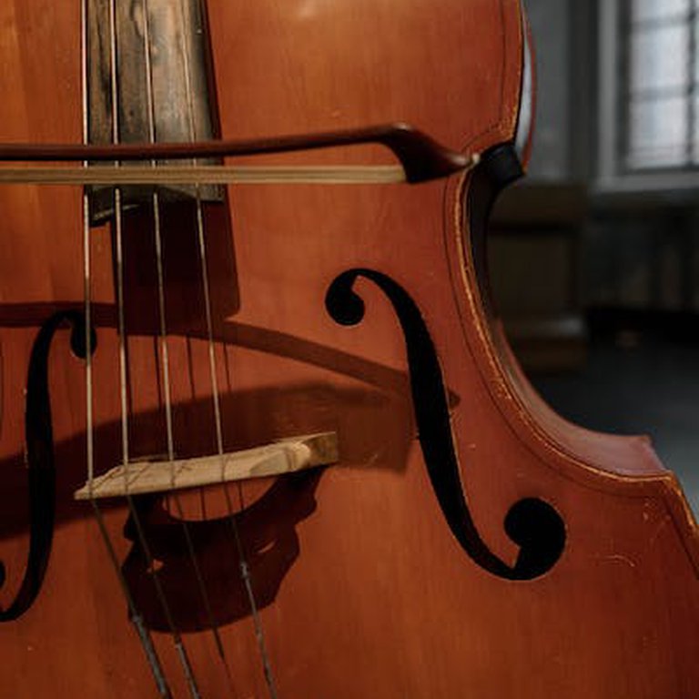 Kontrabassunterricht